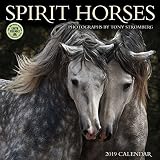 Spirit Horses 2019 Wall Calendar