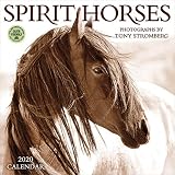 Spirit Horses 2020 Wall Calendar