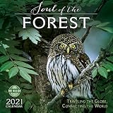 The Soul Of The Forest 2021 Wall Calendar Traveling The Globe Connecting The World
