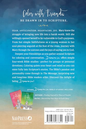 Mary: Seeing God Through the Eyes of a Mother book cover