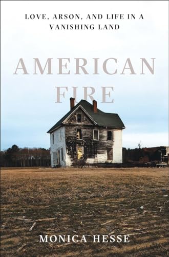 American Fire book cover