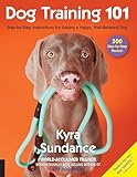 Dog Training 101 Stepbystep Instructions For Raising A Happy Wellbehaved Dog Dog Tricks And Training