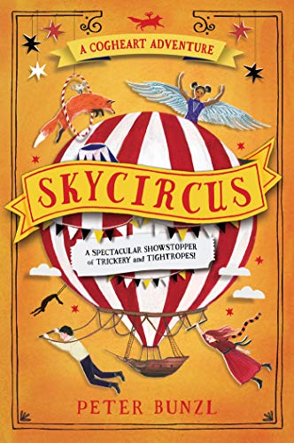 Skycircus book cover
