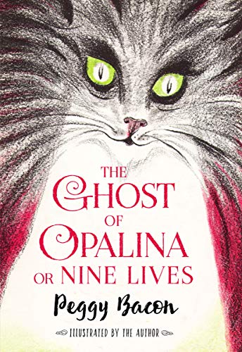 The Ghost of Opalina or Nine Lives