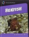 Boxfish (21st Century Skills Library: Exploring Our Oceans)