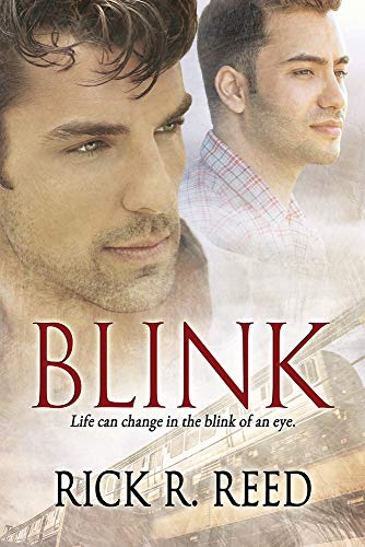 Blink book cover