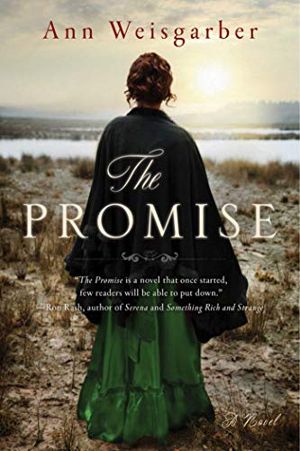 The Promise book cover
