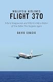 Malaysia Airlines Flight 370 Why It Disappearedand Why Its Only A Matter Of Time Before This Happens Again