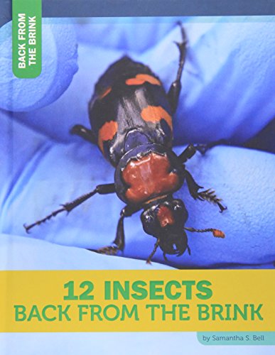 Cover of 12 Insects Back from the Brink