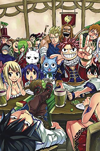 Fairy Tail Manga Box Set 1