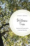 Witness Tree: Seasons of Change with a Century-Old Oak