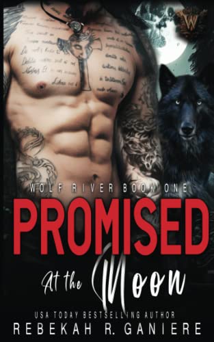 Promised at the Moon book cover