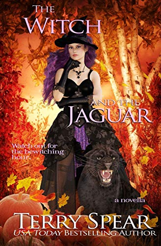 The Witch and the Jaguar book cover