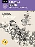 Drawing: Birds: Learn to draw step by step (How to Draw & Paint)
