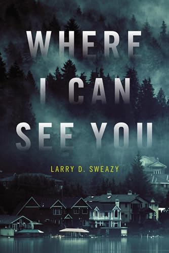 Where I Can See You book cover