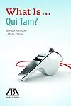 What is ... qui tam?
