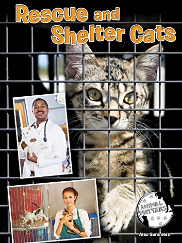 Cover of Rescue and Shelter Cats