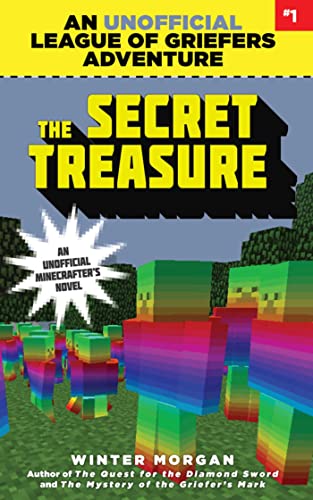 The Secret Treasure book cover