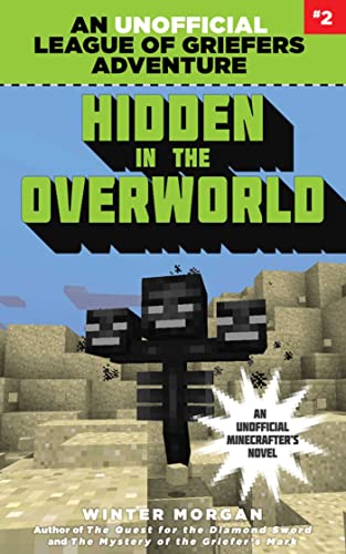 Hidden in the Overworld book cover
