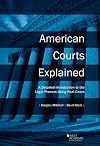 American Courts Explained : A Detailed Introduction to the Legal Process Using Real Cases