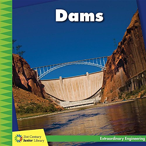 Cover of Dams