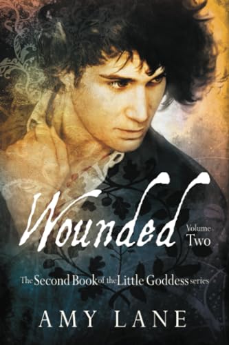 Wounded, Vol. 2 cover