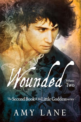 Wounded, Vol. 2 book cover