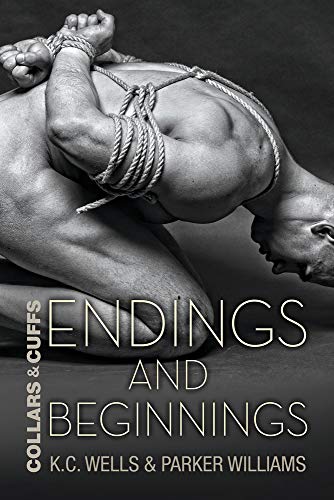 Endings and Beginnings book cover