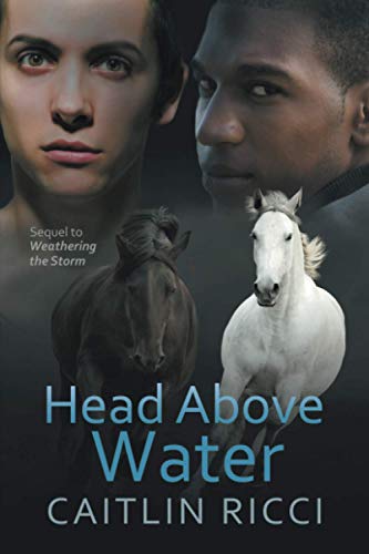 Cover of Head above Water