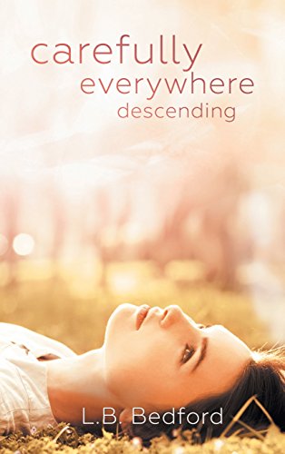 Cover of Carefully Everywhere Descending