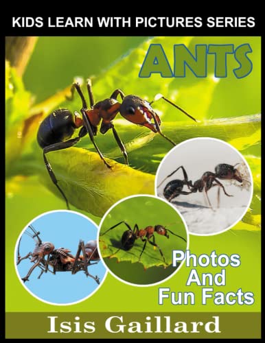 Cover of Ants : Kids Learn with Pictures 133