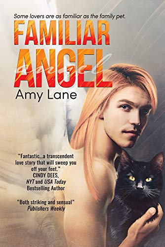 Familiar Angel book cover