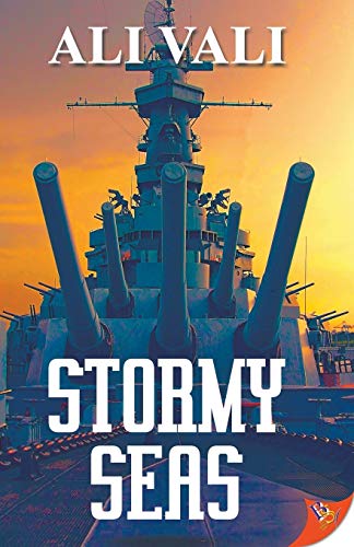 Stormy Seas book cover