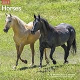 Horses Wall Calendar 2019