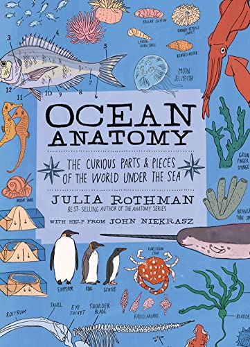 Ocean Anatomy The Curious Parts And Pieces Of The World Under The Sea
