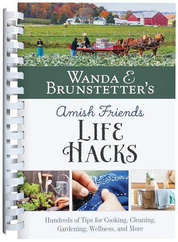 Wanda E. Brunstetter's Amish Friends Life Hacks book cover