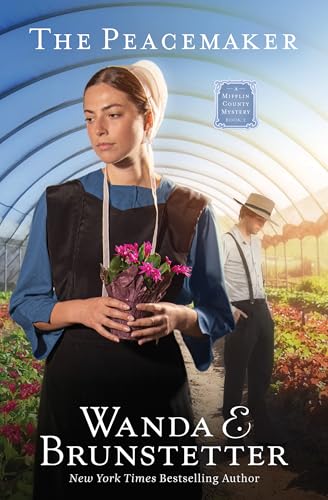 The Peacemaker / by Brunstetter, Wanda E