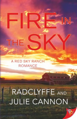 Fire in the Sky book cover