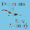 Fragments of Epic Memory