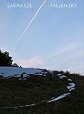 Sarah Sze: Fallen Sky