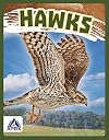 Hawks (Birds of Prey)