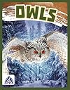 Owls (Birds of Prey)
