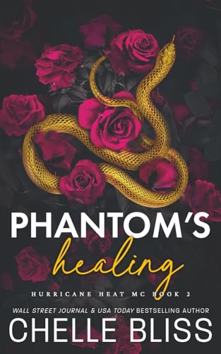 Phantom's Healing book cover