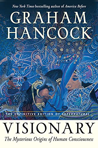 Visionary: The Mysterious Origins of Human Consciousness book cover