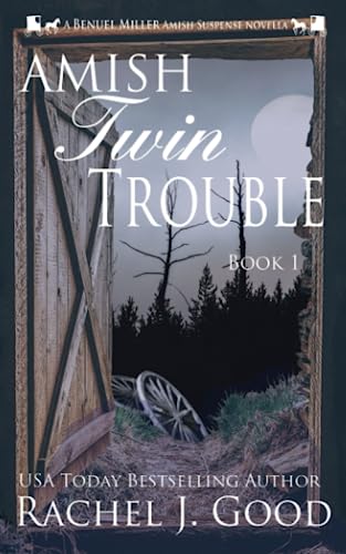 Amish Twin Trouble book cover