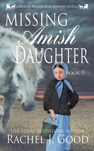Missing Amish Daughter book cover