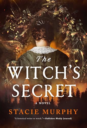 The Witch's Secret book cover