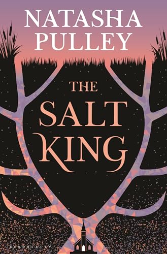 The Salt King book cover