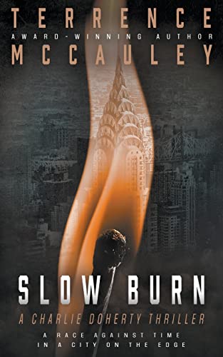 Slow Burn book cover