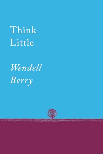 Think Little book cover